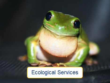 Ecological Services thumb